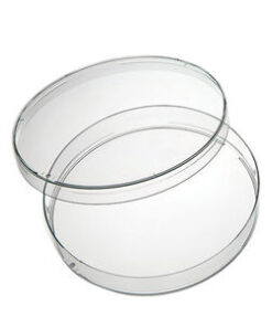 Boite Pétri Ø 90mm en plastique