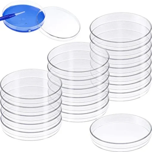 Boite Pétri Ø 60mm en plastique