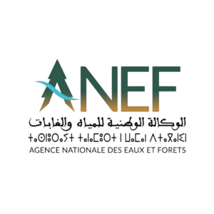 anef